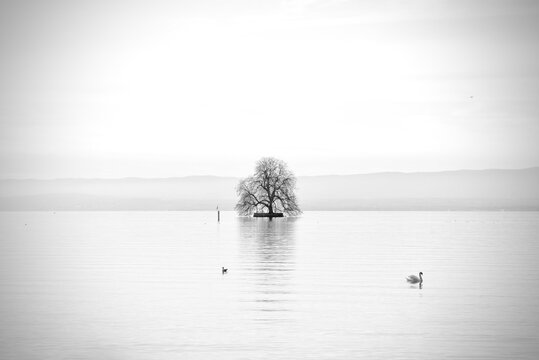 La quiete del lago
