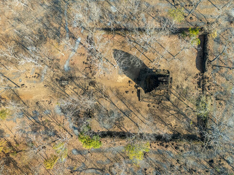Aerial view of the stark, grey stone structure of Prasat Neang Kmao stands silent amidst the dry, golden-brown landscape, a testament to enduring history, Prasat Neang kmao, Cambodia.