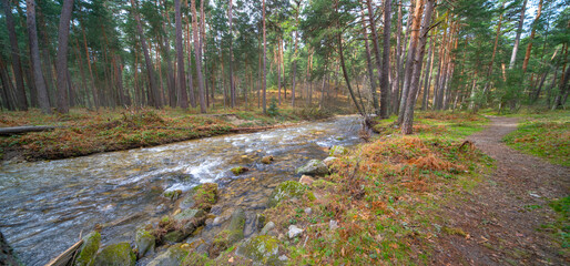 Eresma River, Valsaín Pine Forest, Sierra de Guadarrama National Park, Segovia, Castilla y León, Spain, Europe © Al Carrera