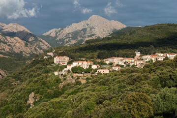 Fototapeta premium CORSE - Piana - Calanches