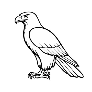 Stylized outline illustration of a majestic eagle with sharp eyes and talons