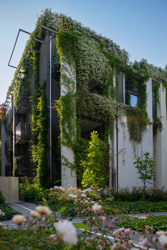 View of a modern building with a facade covered in lush greenery, blending architecture with nature's vibrant hues, creating a serene urban oasis, Parma, Emilia Romagna, Italy.