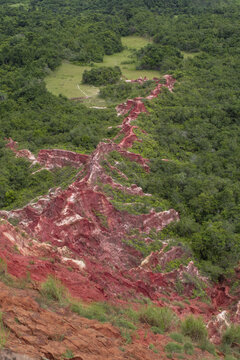 View of a striking contrast as red soil cuts a path through vibrant green vegetation, creating a unique landscape, Pointe Noire, Congo.