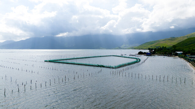 Aerial view of oyster farm in the lagoon, with wooden poles standing in the water, reflecting the cloudy sky, tt. Lang Co, Hue, Vietnam.