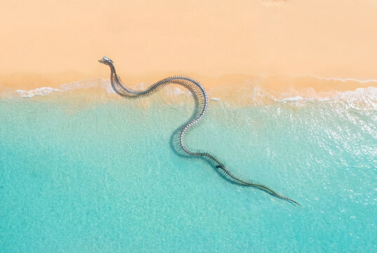 Aerial view of a massive, serpentine sculpture curving through the turquoise water where the ocean meets the golden sands, Serpent d'ocean, France.