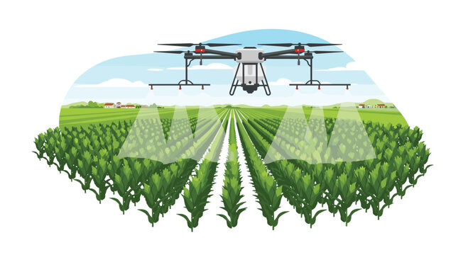 A white agricultural drone with multiple propellers flies over a vast green field of crops, spraying a wide area under a blue sky.
