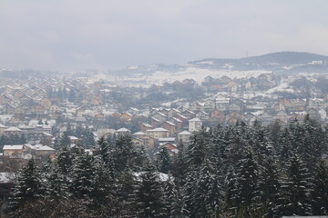 Cozy mountain settlement under snow blankets with frosty pine trees