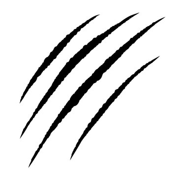 Claw mark scratches icon. Black and white sharp edged claw slash mark. Vector design element isolated on transparent background