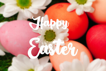 Fototapeta premium Colorful Easter eggs and flowers on a green background for celebration in spring