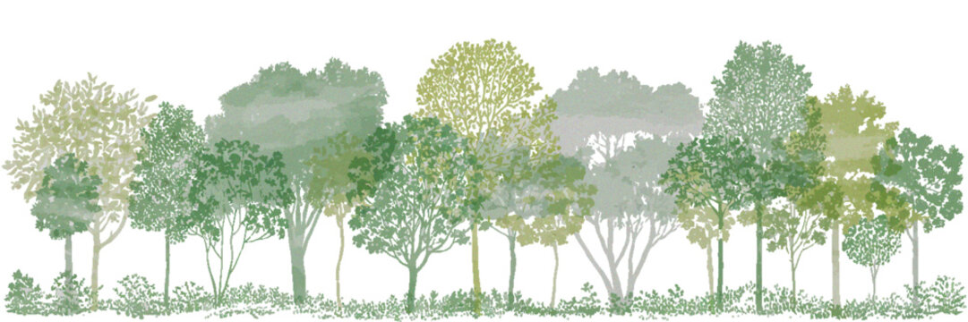 Minimal CAD Tree Line Drawing, Architectural Landscape Design Elements, Side View Forest Section, Wildlife Outline Symbols, Clean Vector Illustration in White Stroke Fill for Urban Planning Projects