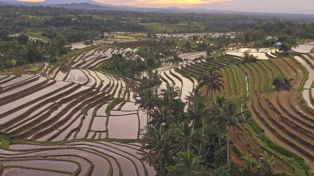 Beautiful aerial view flying over the jatiluwih rice terraces in bali. This unesco world heritage site showcases the traditional subak irrigation system