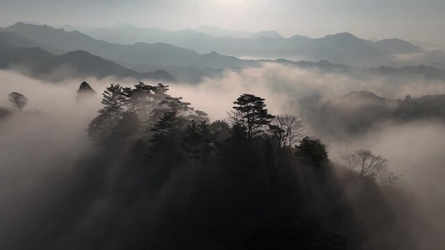 宮崎県 高千穂町 国見ヶ丘から見る雲海