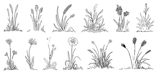 Set of Shrubs Line CAD, Ground Cover Illustration, Architectural Elevation Element, Side View Grass Section Vector for Landscape Design, Site Plan, and Environmental Presentation © YET FAR 