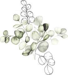 Obraz premium Eucalyptus watercolor arrangement with line art botanical elements