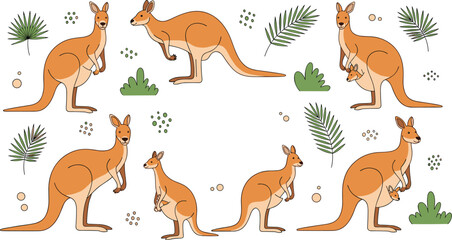 Fototapeta premium Kangaroo collection with joey baby in pouch and australian wildlife animals cartoon vector illustration set