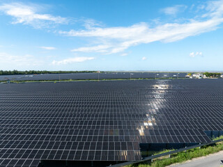 Fototapeta premium default