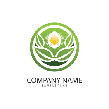 Tree leaf vector and green logo design friendly concept