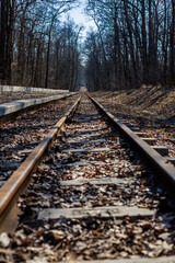 Fototapeta premium Narrow-gauge railway in the forest in early spring: old rails and sleepers covered with moss.