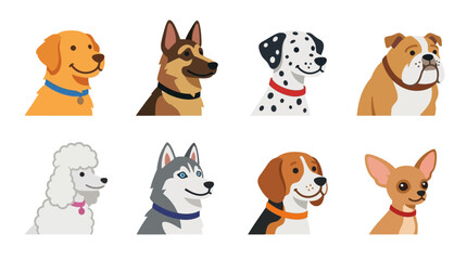Obraz premium Vector illustrations of eight distinct dog breeds in a single row showcasing their unique features and expressions.