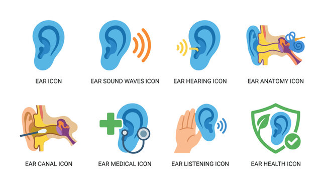 Vector illustrations of various ear icons depicting hearing, anatomy, and health in a medical context with sound waves and a stethoscope.