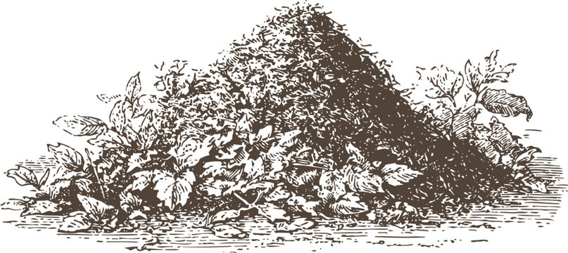 pile of rich soil with growing plants natural gardening compost heap full of nutrients and organic matter