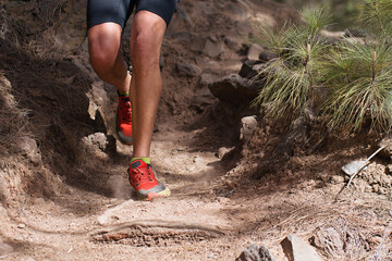 Walking or running exercise legs on rocky footpath in bright forest achievement fitness adventure and exercising in spring or summer nature motivation and inspirational activity