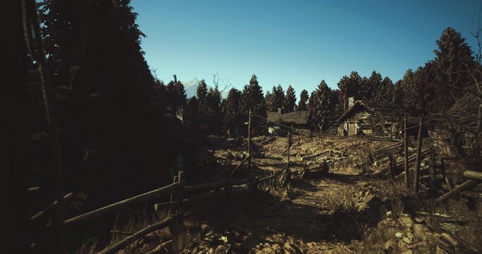 Dusk forest clearing with silhouetted trees and low ridge, muted tones and long shadows create introspective mood, sparse underbrush and stony ground suggest