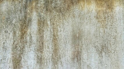 Fototapeta premium Old grunge texture, mossy white concrete wall.