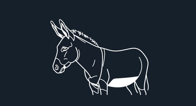 Minimalist White Line Art of a Donkey on a Dark Blue Background