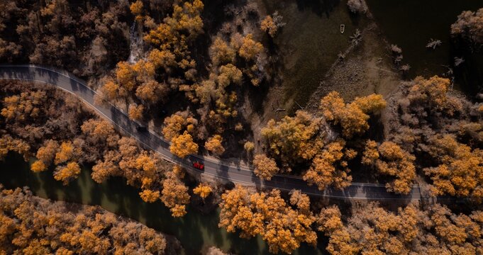 Populus euphratica forest in Tarim, Xinjiang from the perspective of aerial photography