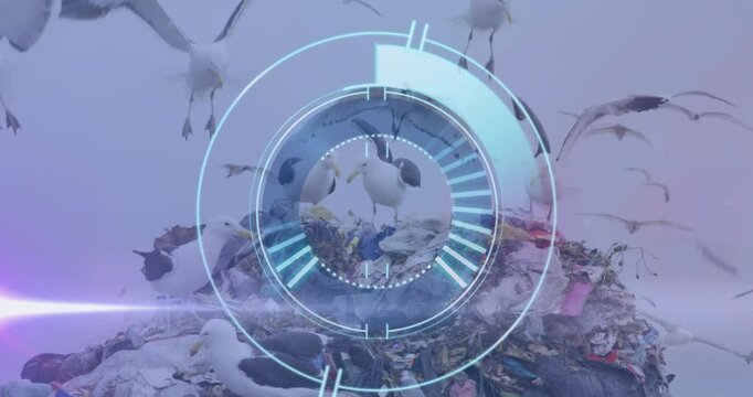 Animation of scope scanning over christmas dinner table with laptop video call on blue background