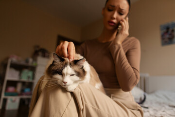 Obraz premium Woman talking on cellphone while sitting on bed with Ragdoll cat resting on her lap as lady petting it gently