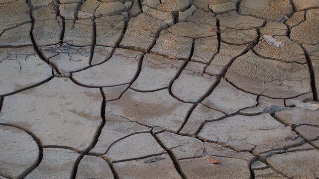 Dry, cracked soil is slightly moist with seasonal rainfall due to global warming.