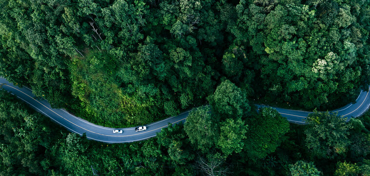 Forest road cutting through lush greenery, ideal for ESG reports, sustainable development presentations, eco-friendly infrastructure, and green economy visuals.