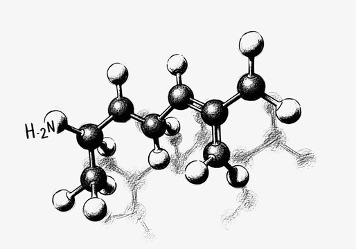 Ball and stick model of the amino acid valine molecule structure