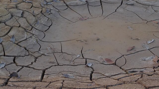 Dry, cracked soil is slightly moist with seasonal rainfall due to global warming.