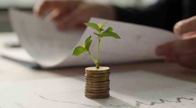 Hand planting seed in coin stack investment growth concept financial savings wealth business eco finance future