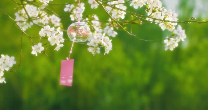 Graceful White Blooms and glass wind bells on Tree Branch