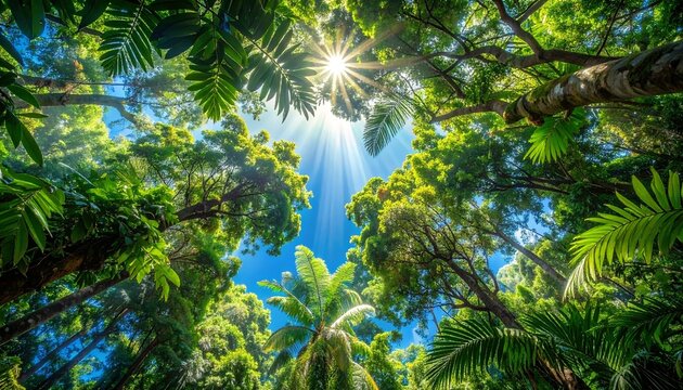 Low Angle View of Sunlight Shining through Green Jungle Canopy and Palm Trees, Bright Sunbeams in Tropical Rainforest Sky, Nature Environment for Ecology and Summer Travel