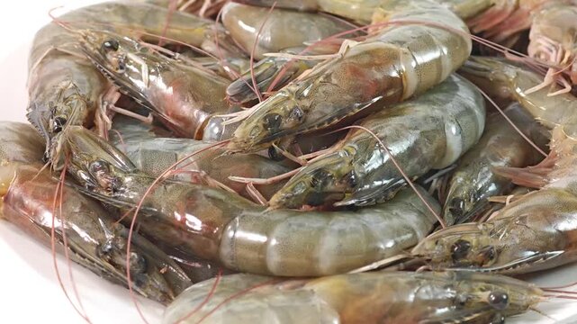 fresh shrimp as seafood background