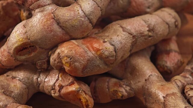 Fresh turmeric roots on wooden