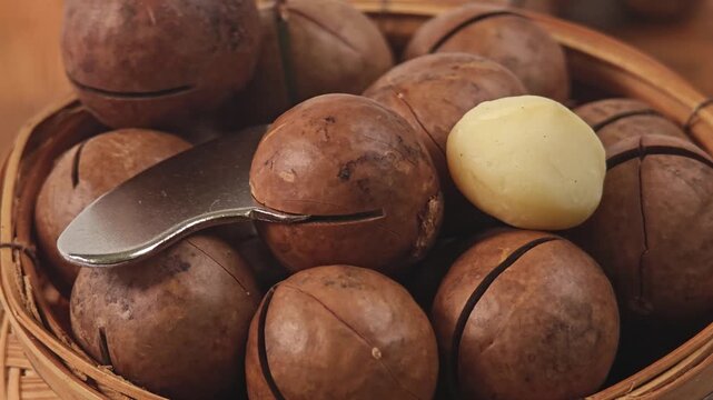 macadamia nuts
