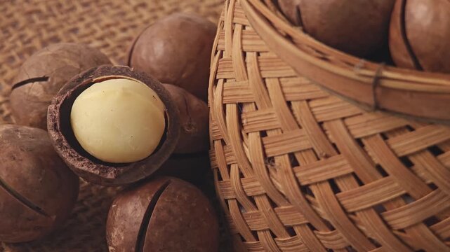 macadamia nuts