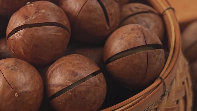 macadamia nuts