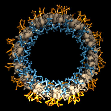 Axiales Basenstapel-Modell eines k&uuml;nstlichen Polymers