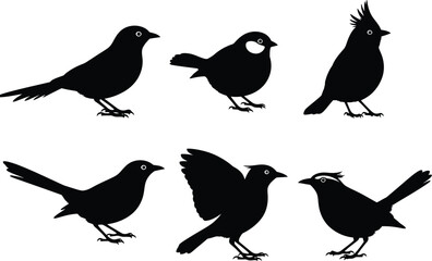 Fototapeta premium Collection of six black silhouette bird illustrations in various poses