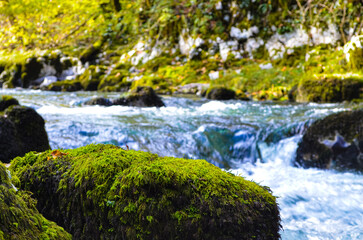 Fototapeta premium Close-up of flowing river water over mossy rocks in forest, fresh natural texture and environmental background
