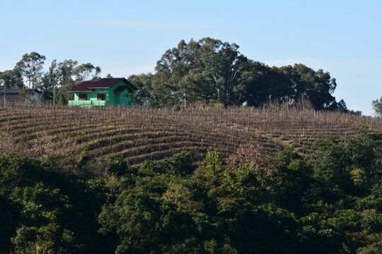 monte belo do sul - rs