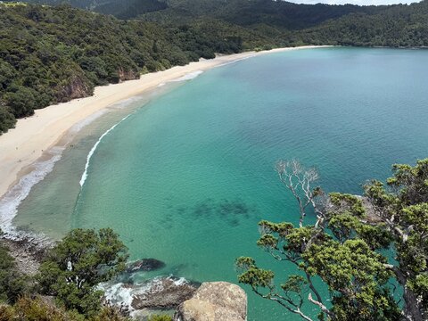 Aerial view of the secluded New Chums Beach with golden sand and native bush, New Zealand