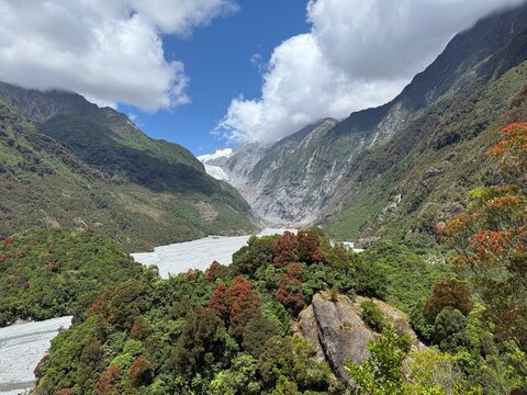 Franz Josef Glacier flowing through lush temperate rainforest, West Coast, New Zealand